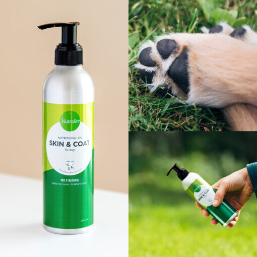 Nutrolin® SKIN & COAT - Image 8