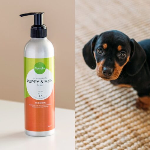 Nutrolin® PUPPY & MOM - Image 8