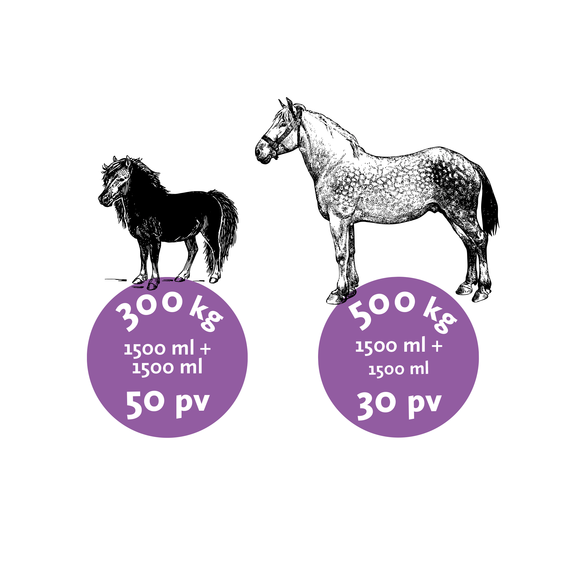 Nutrolin® HORSE Joint Duo - Image 4