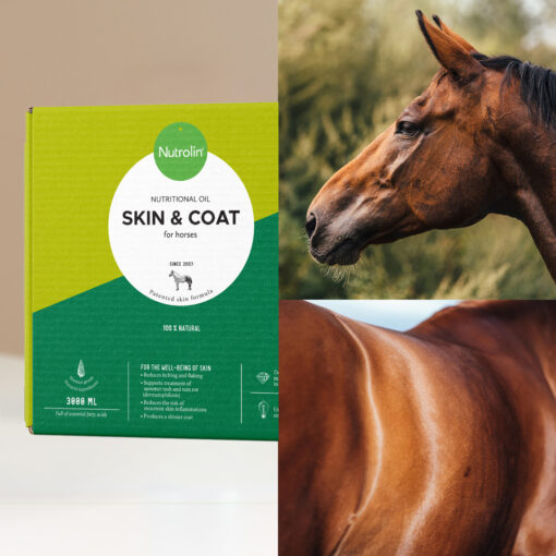 Nutrolin® HORSE Skin & Coat - Image 4