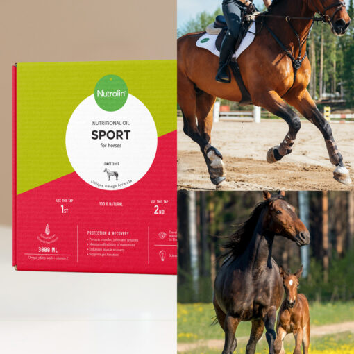 Nutrolin® HORSE Sport - Image 4
