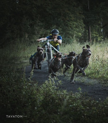 Niina Forsblom ja Teemu Lojamo