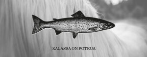 Nutrolin hevonen kala