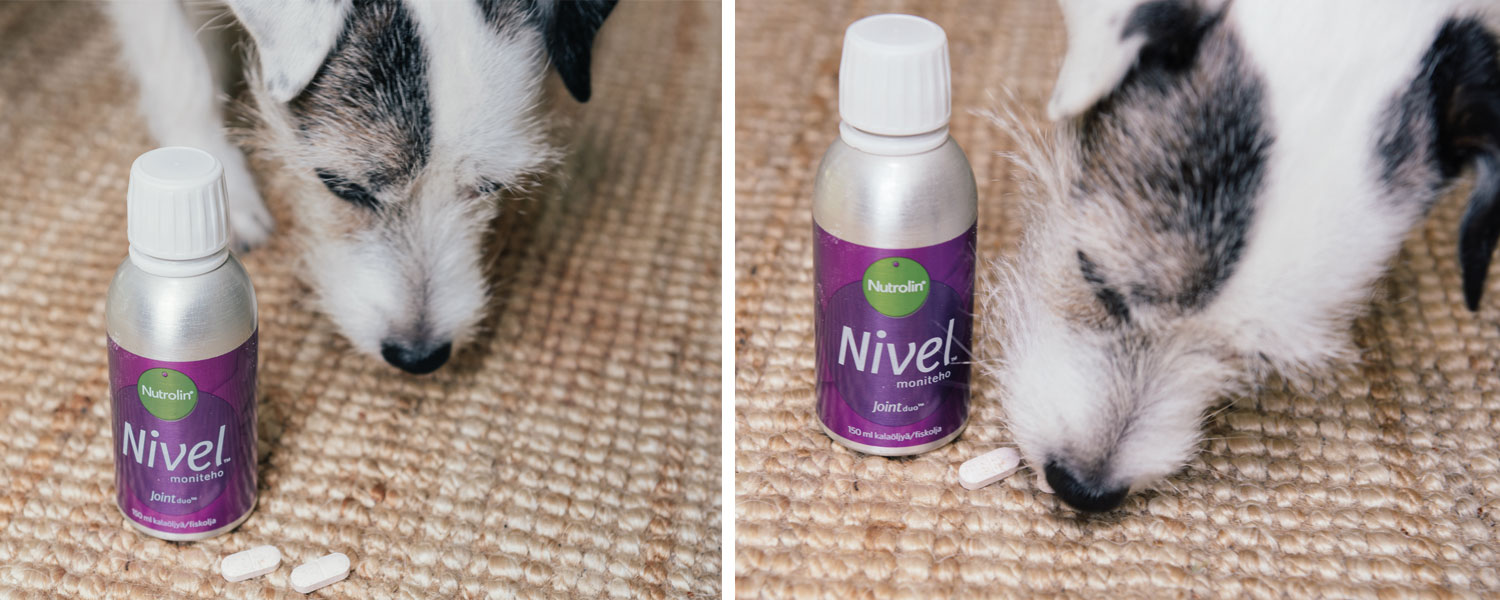 Koiran nivelrikko Mistä omega3rasvahappoja nivelrikkokoiralle?