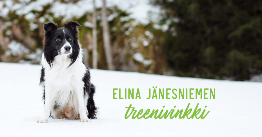 Elina Jänesniemi treenivinkki