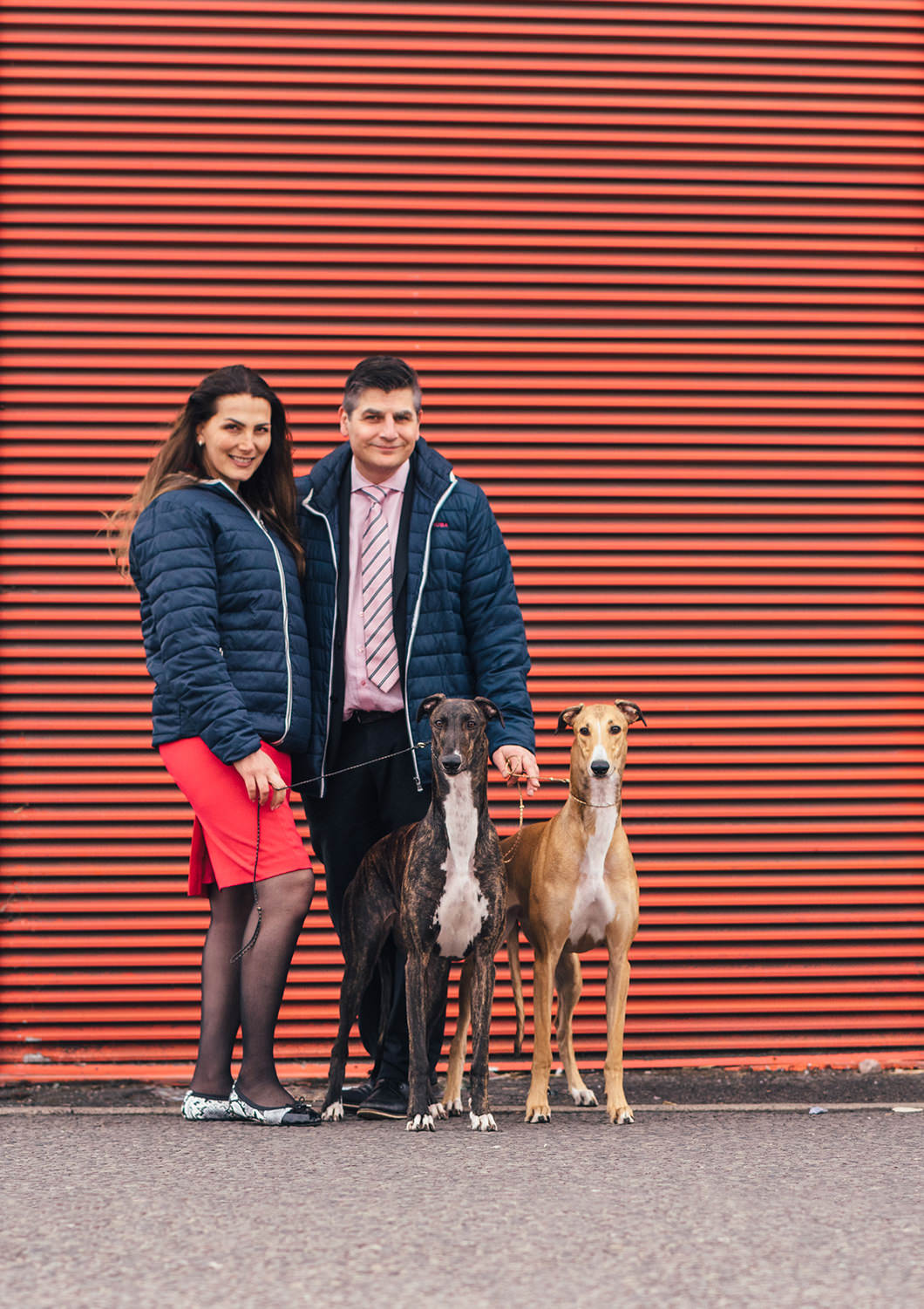 Powered_by_Nutrolin_Inas_fashion_greyhounds