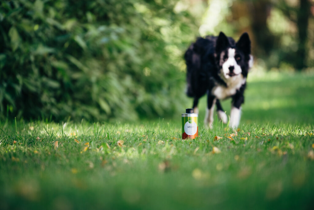 Nutrolin Sport_bordercollie