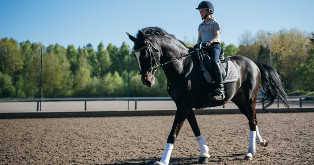 Jessica Kerttunen ja Nutrolin tuotteet.