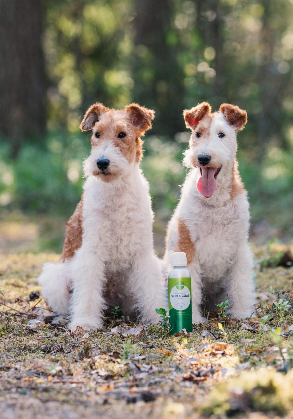 Nutrolin Skin Coat wire haired fox terrier-2