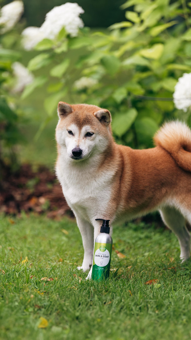 Nutrolin® SKIN & COAT tukee koiran ihon hyvinvointia
