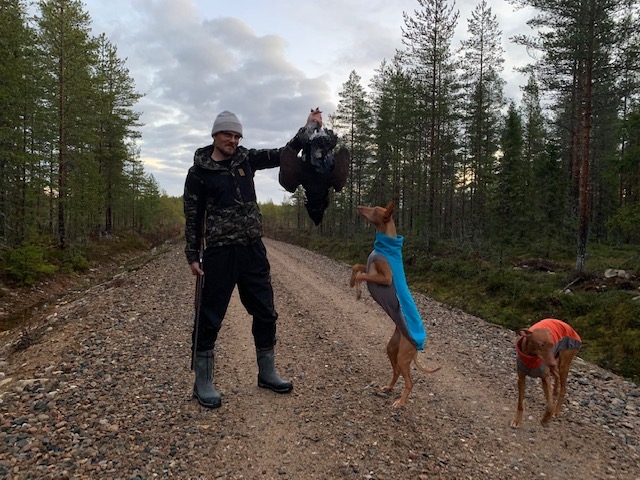 kaksi faaraokoiraa fleecetakeissaan metsätiellä metsoa pitelevän miehen kanssa