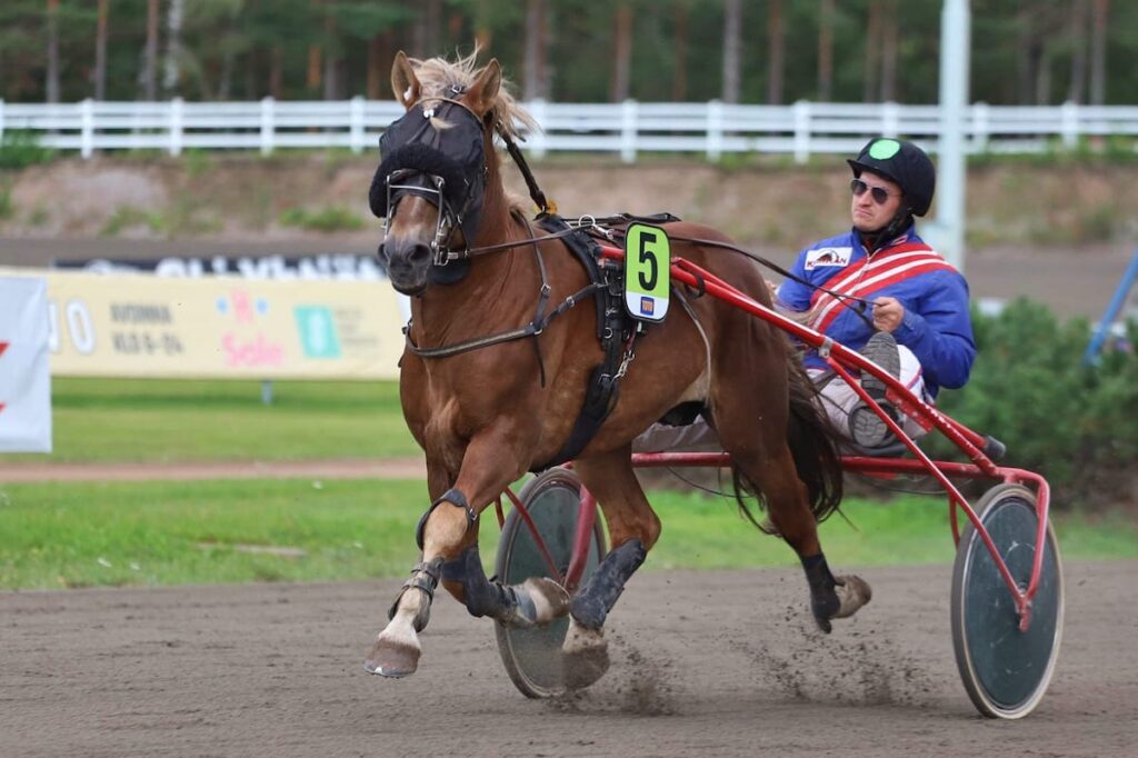 vaaleaharjainen punarautias suomenhevosravuri ravaa kilpailuvarusteissaan raviradalla