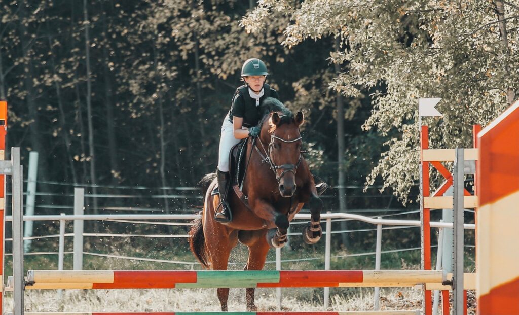 Hopphästen Zara hålls mjuk i kroppen med Nutrolin® HORSE Sport