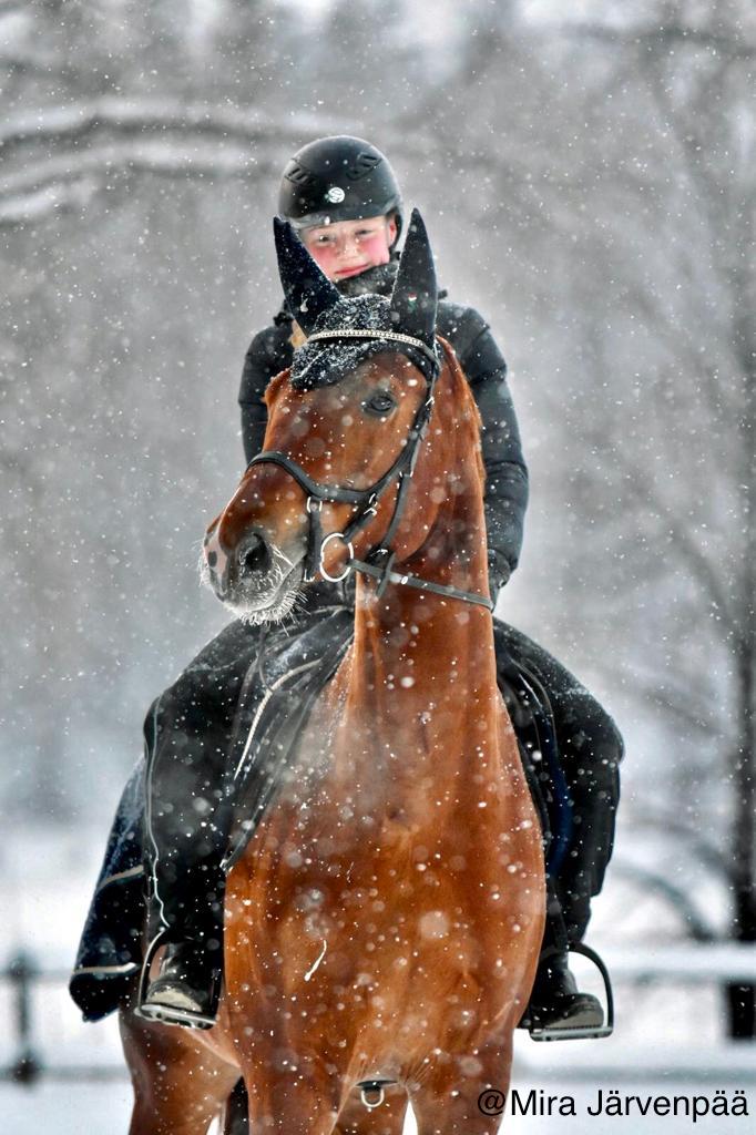 punarautias puoliverinen seisoo ratsastaja selässään lumisateessa