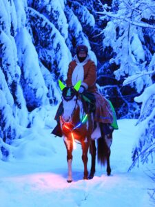 hevonen heijastinvarusteissaan ratsastaja selässään lumisessa metsässä