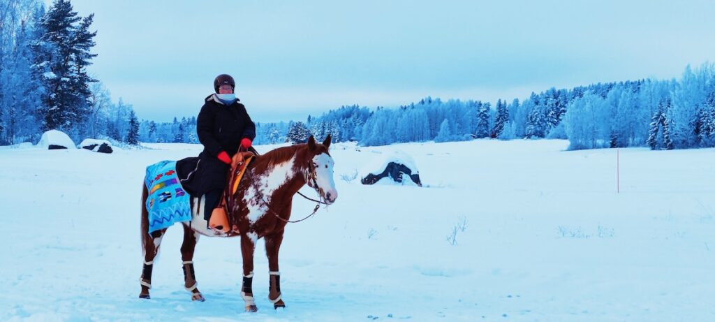 kirjava hevonen lännenratsastusvarusteissa ratsastaja selässään lumisessa maisemassa
