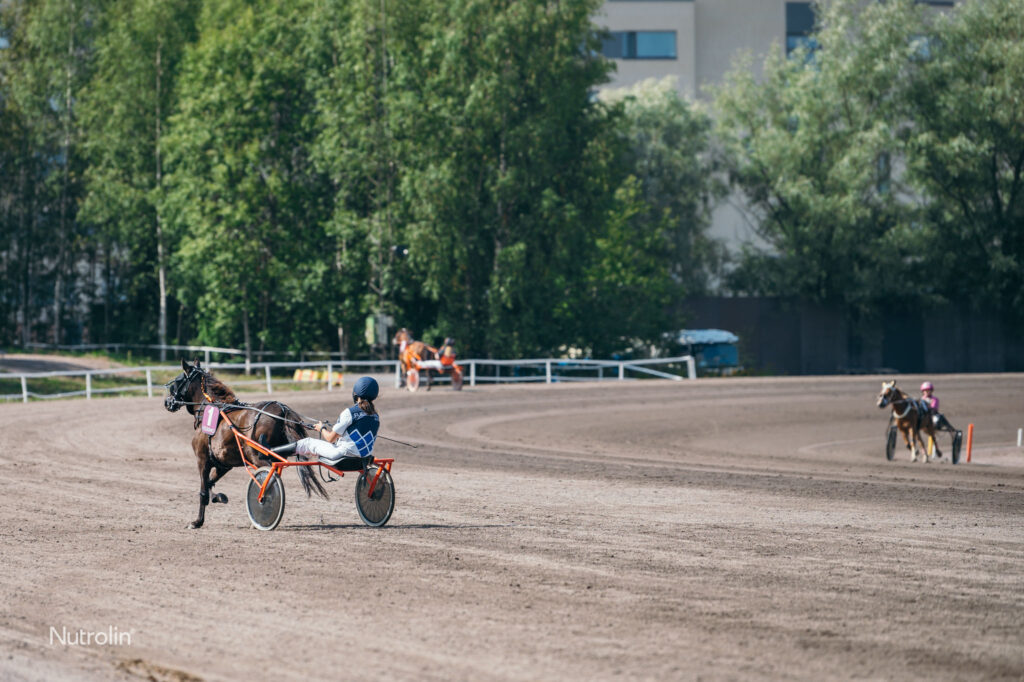 gotlannin russ poneja Vermon raviradalla