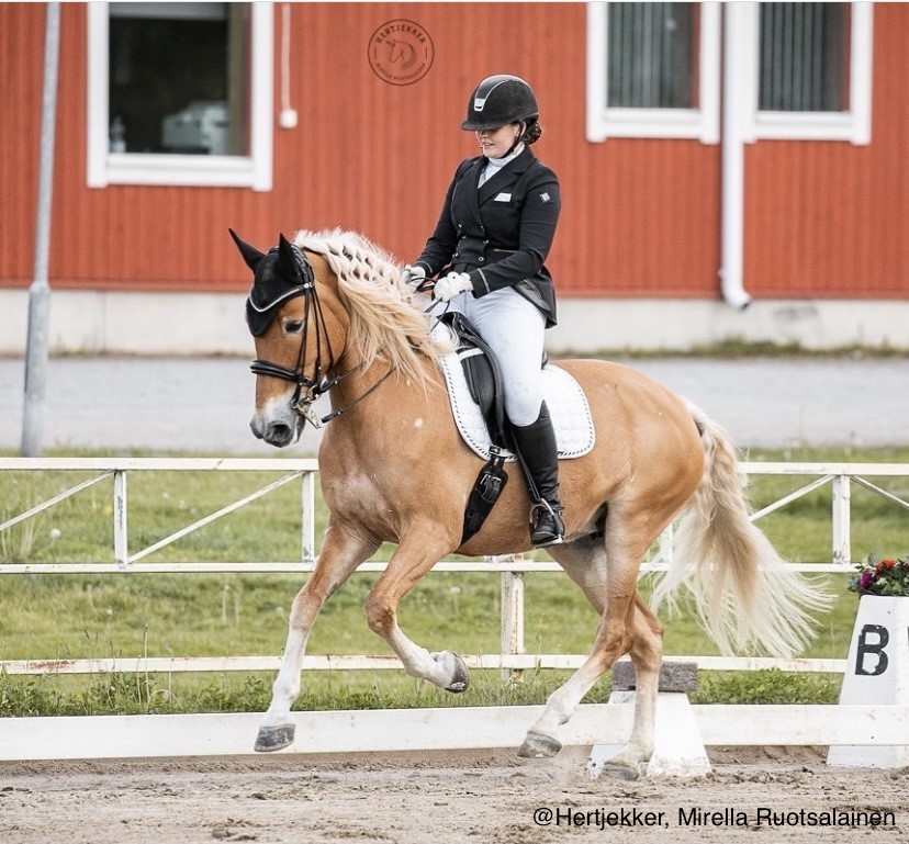 nuori nainen kouluratsastusradalla liinakon suomenhevostamman kanssa