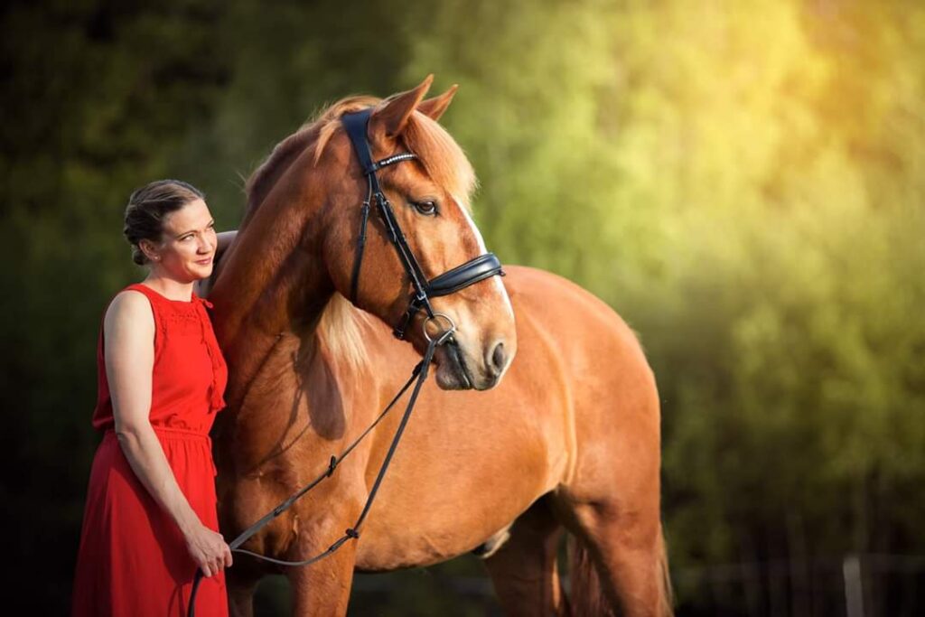 Anni ja Maarian Sampo