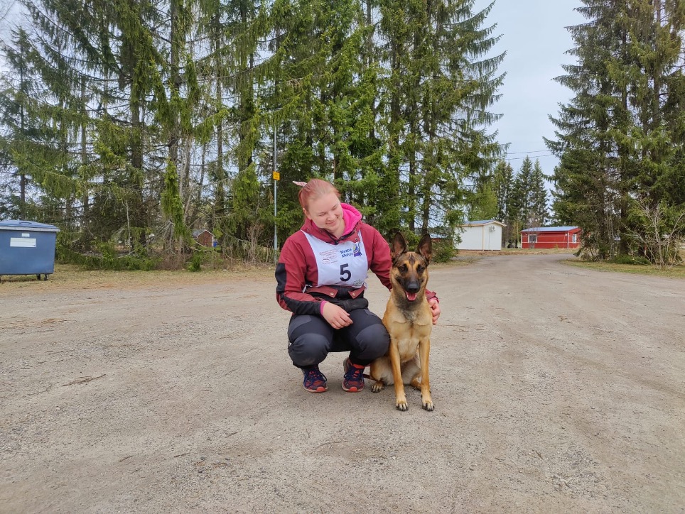 malinois toko-kokeessa