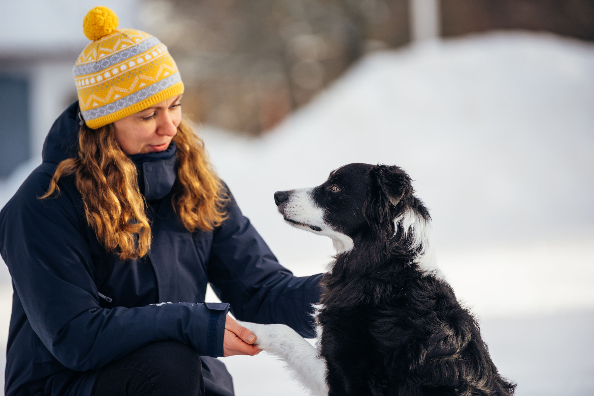 Anna ja bordercollie Tino