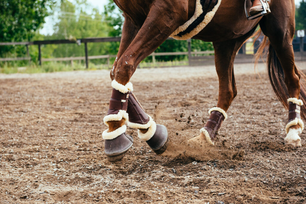 Nutrolin® HORSE-tuotteet auttavat hevosta voimaan paremmin