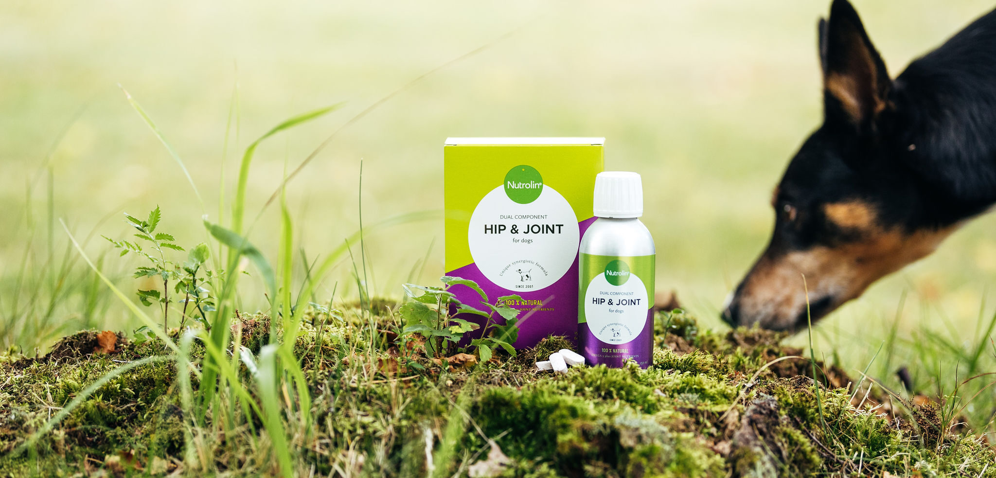 Kalaöljyn omega3rasvahapot ja tulehdus; ravitsemusta vai farmakologiaa?