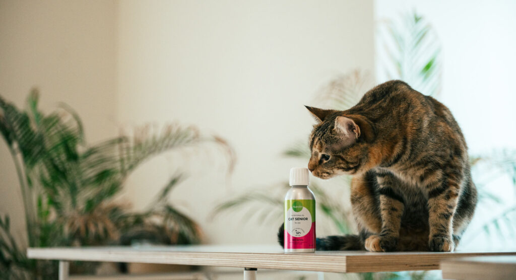 Kissa ja Nutrolin® CAT Senior -pullo