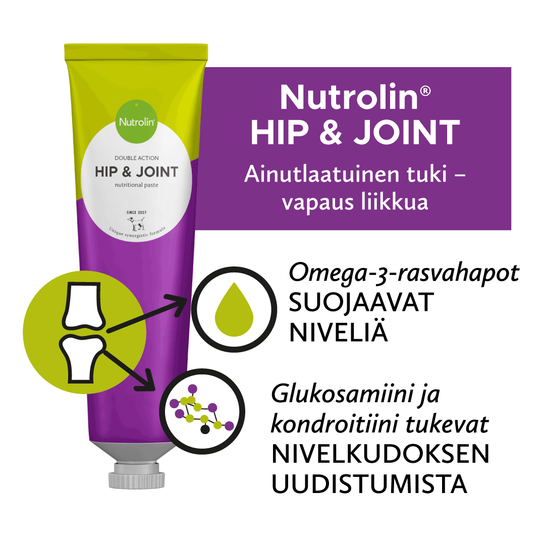 Nutrolin® HIP & JOINT -tahna - Image 4