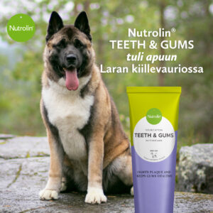 Nutrolin® TEETH & GUMS koiran kiillevaurio