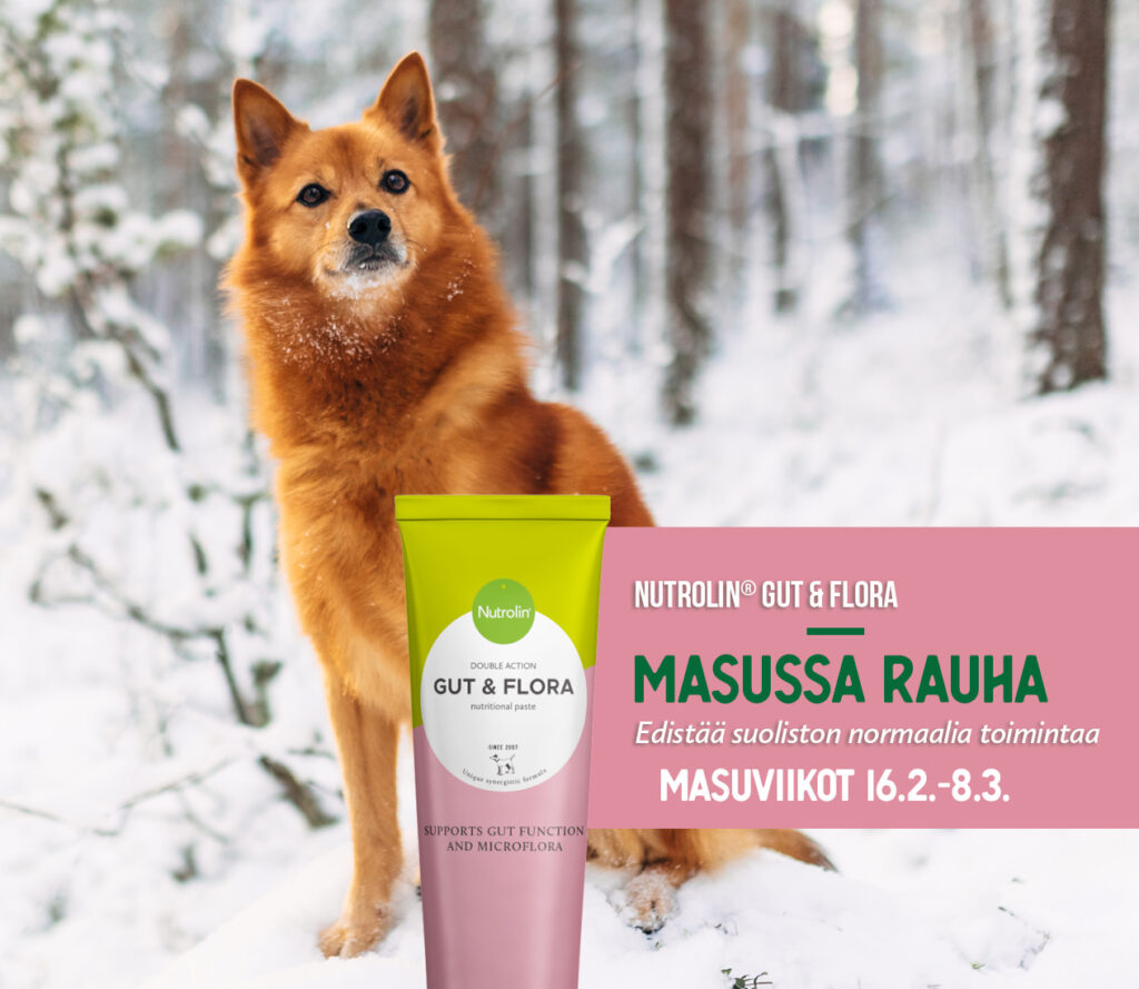 Nutrolin Masuviikot Gut Flora