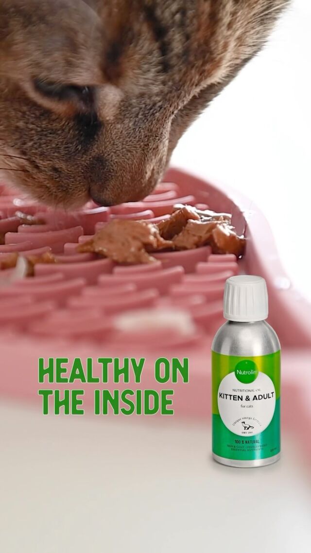 Nutrolin® has formulated fatty acid supplements, especially for cats 🐈‍ ⁣
⁣
🟢 Nourishes and protects your cat’s skin and improves coat quality⁣
🟢 Ensures that your cat gets all the essential fatty acids it needs for healthy life⁣
⁣
Mix a little into their food and gradually increase the quantity to the full dose if your cat is not used to eating fatty acid products. ⁣
⁣
You can make mealtime a delightful experience for your beloved cat with patience and creativity 🐾⁣
⁣
PS. The fish lick mat, which is suitable for small dogs, too, is available on nutrolin.fi & nutrolin.se webshops! 🐟 ⁣
⁣
#nutrolinlife #nutrolincats #fattyacids #kitten #kissanpentu #cat