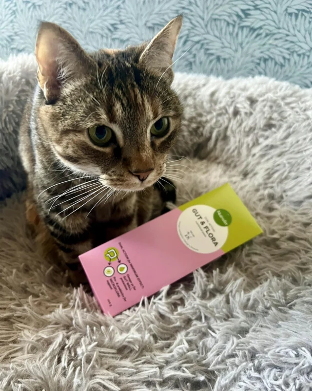 New, innovative Nutrolin® pastes are also cat-friendly! 🐈 Mix a little into their food and gradually increase the quantity to the full dose if your cat is not used to eating fatty acid products.You can make mealtime a delightful experience for your beloved cat with patience and creativity 🐾PS. The fishy lick mat, which is suitable for small dogs, too, is available on nutrolin.fi & nutrolin.se webshops! 🐟#nutrolinlife #nutrolincats #fattyacids #kitten #kissanpentu #cat