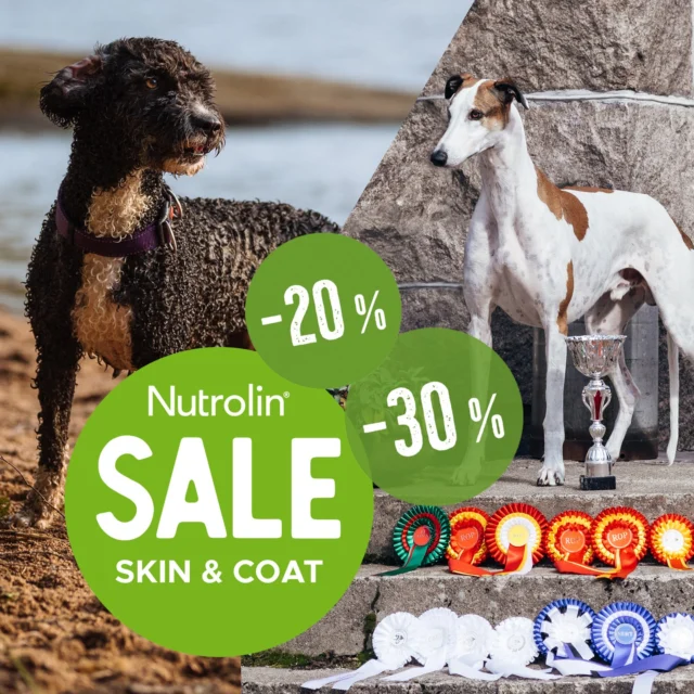 Calling all swimmers and show stars! 🎶📣Is your coat summer-ready? It's always nicer to enjoy the season when the coat is in great condition and the skin feels good.Order at least 2 x 265 ml bottles of Nutrolin® SKIN & COAT from our webshop and get 20% off. Go big with a bulk pack (9 x 265 ml) and save 30%.This special offer is valid in our webshop from May 6th to May 8th. 🛍️