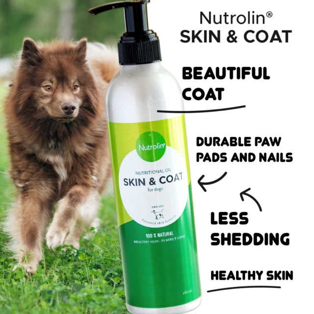 "Hi, our puppy has some itching. At what age can I start giving Nutrolin® SKIN & COAT oil?" 🤔🐶

You can safely try Nutrolin® SKIN & COAT to see if it helps with your puppy’s symptoms.

However, to support your puppy’s development, we recommend Nutrolin® PUPPY & MOM, which can be given until the age of 6–12 months. (The larger the breed, the longer it’s beneficial to continue.)

If you’re using two Nutrolin® oils at the same time, just pour them into the bowl at different times of the day. That way, the active ingredients won’t overlap but complement each other.

Please remember: If the itching is disturbing your puppy’s normal life or there are visible skin symptoms, it’s best to consult a vet. In most cases, you can safely continue using Nutrolin® products alongside veterinary care.

Got a question for us? Visit our website and ask Penni the chatbot or send us a message. 👋🏻