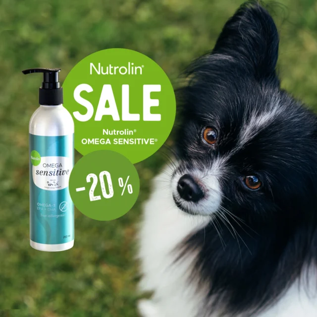 Why do you give your dog fish oil? Because I want my dog to feel great! 😘🐶

We all know that high-quality fish oil supports wellbeing. It protects joints, the heart, and the brain – and in puppies, it also helps with brain and sensory development.

Choose Nutrolin® OMEGA SENSITIVE®, the new fish-free fish oil, to support your dog’s daily health.

Nutrolin® OMEGA SENSITIVE® is made from microalgae. It provides the same omega-3 EPA and DHA as premium fish oil – and four times more than salmon oil. 🌊

A quick reminder! 💡 Fish oil isn’t the answer for skin and coat health.

For that, go with Nutrolin® SKIN & COAT. This trusted plant-based oil works like a nourishing paw balm from the inside – and gives the coat the breed-specific shine it deserves.

Pro tip: Add the oils to your dog’s bowl at different times of the day to get the full benefit.

Both products are safe for dogs with fish allergies.

Try the power of microalgae oil. Order Nutrolin® OMEGA SENSITIVE with 20% off in our online store from June 4 to June 11, 2025.

#nutrolin #nutrolinlife
