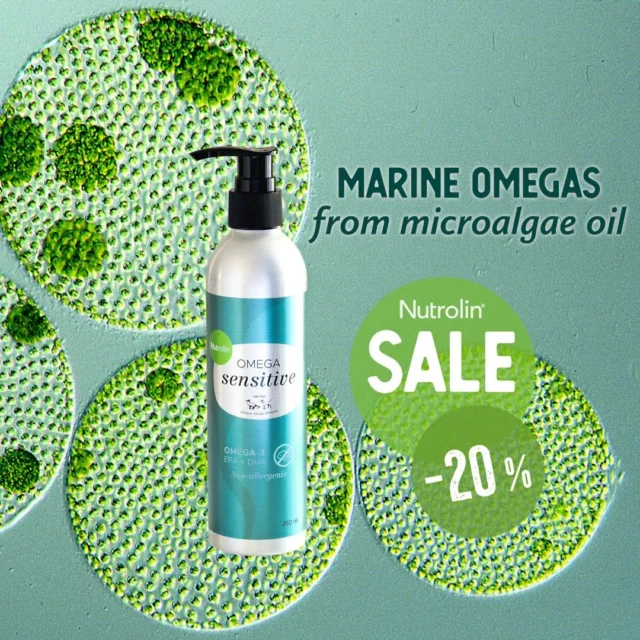 No oceans, no us. 🌊World Oceans Day is celebrated every year on June 8. It's a global reminder of the importance of healthy oceans for the entire ecosystem – and an invitation for all of us to protect them.At Nutrolin®, ocean health matters deeply to us, too. Many of our products contain fish oil, and we’ve worked for a long time to find a smarter alternative. 👨🏼‍🔬That’s why we’re excited to introduce Nutrolin® OMEGA SENSITIVE® – a fish-free fish oil made from microalgae.It provides the same amount of omega-3 EPA and DHA as premium fish oil – and about 4 times more than salmon oil.Nutrolin® OMEGA SENSITIVE® is a smart choice for pets with fish allergies and sensitive tummies – and a greener choice for everyone.Try our newest innovation and get 20% off in our online store from June 4 to June 11, 2025. 🛍️Let’s take care of our oceans – for us, for our pets, and for the planet. 💦#worldoceansday #nutrolinlife