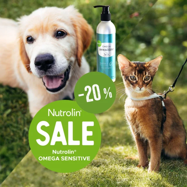 Whiskers and wagging tails – here’s why omega-3s matter. ❣️Countless studies show that omega-3s support overall wellbeing in many ways.In kittens and puppies, they help develop the brain and senses. In adult cats and dogs, they protect the joints, heart, and brain. 🧠These tiny nutrients can make a big difference – even if you don’t see it right away.Nutrolin® OMEGA SENSITIVE is a microalgae oil that delivers as much omega-3 EPA and DHA as high-quality fish oil – and 4 times more than salmon oil. 🔝Try the newest addition to our product line at a special price. Get 20% off Nutrolin® OMEGA SENSITIVE in our online store from June 4 to June 11, 2025. 🥳#nutrolinlife #nutrolin