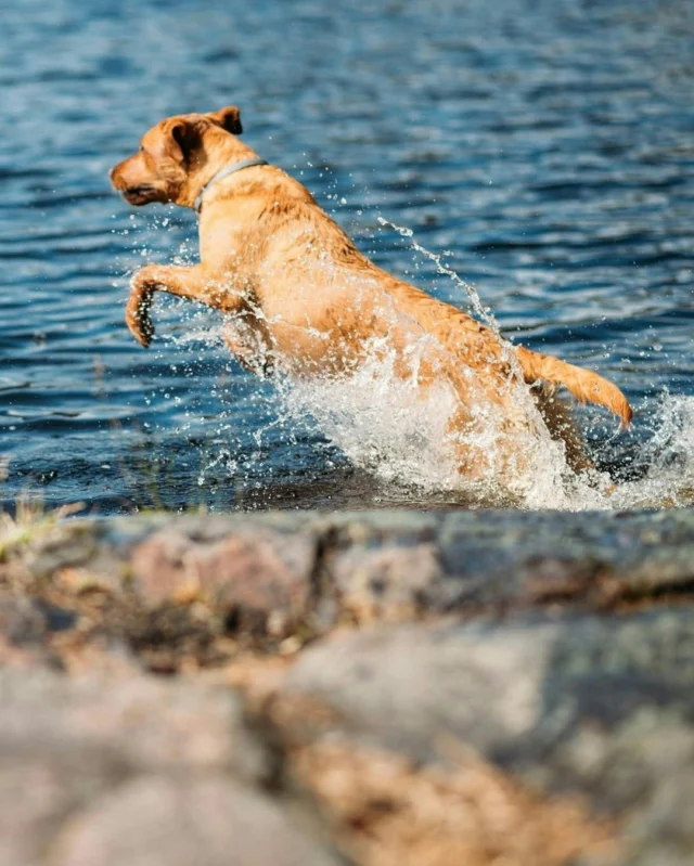 Happy weekend Nutrolin® pack! 💦 Or as we say in Finnish, MOLSKIS. 😁💚#nutrolinlife