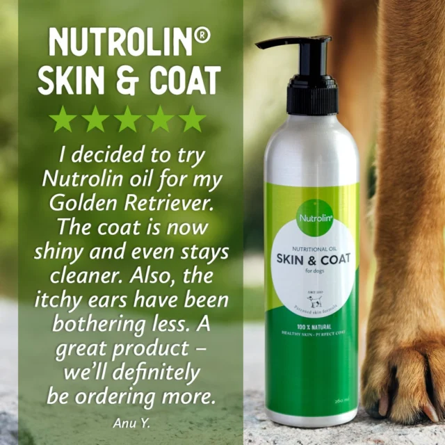 We have a new loyal customer! Thank you Anu for trying our Nutrolin® SKIN & COAT. 💚"I decided to try Nutrolin oil for my Golden Retriever. The coat is now shiny and even stays cleaner. Also, the itchy ears have been bothering less. A great product – we’ll definitely be ordering more."