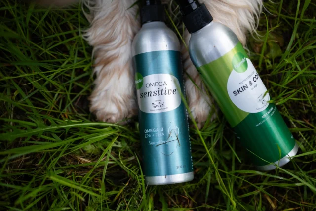 Nutrolin® SKIN & COAT and Nutrolin® OMEGA SENSITIVE® make the perfect pair.These products help your dog feel better.Nutrolin® SKIN & COAT is a plant oil that nourishes and protects the skin, improves coat quality, and keeps paw pads soft and elastic.Nutrolin® OMEGA SENSITIVE® is a microalgae oil that supports your dog’s heart, brain, and joints. It replaces fish oil, such as salmon oil.If your dog does not necessarily need Nutrolin® multi-purpose products, such as Nutrolin® HIP & JOINT paste for supporting osteoarthritis treatment, but you still want to provide high-quality fatty acids, Nutrolin® OMEGA SENSITIVE® is an excellent choice.For the best effect, give Nutrolin® products to your dog at different times of the day.Let's move forward together! 🤝#nutrolinlife #doghealth