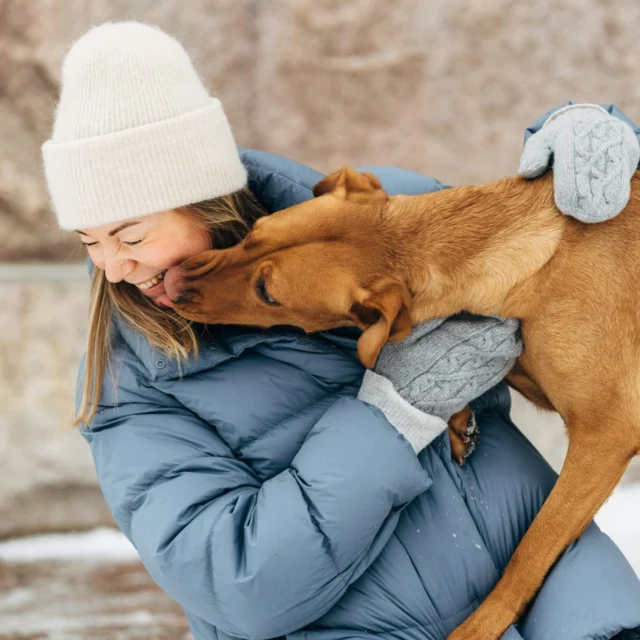 Three activation tips to make the most of the days between Christmas and New Year! 🫶 Share your favourite tip in the comments.☝🏻 Scent work super challenge! Hide your dog’s favorite treats around the house or in the yard and let them sniff them out. If treat hiding is new for your dog, start with easy spots. Scent work tires your dog out and gives them a natural, species-appropriate activity.✌🏻 Create a DIY obstacle course indoors or outdoors. Build safe obstacles, tunnels, and jumps. Guide your dog through the course and reward every success. This improves your dog’s motor skills and strengthens your teamwork.🤟🏻 Stomp on new routes to celebrate the old year. Walks can be adventures! Switch up your routes, let your dog explore new scents, and add small challenges along the way. Ask your dog to jump on a rock, balance on a fallen tree, or run a short stretch with you. Surprises keep the mind active!