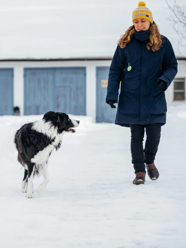 Let us introduce Anna, who's in charge of our dog and cat products. 🤩Anna has been with us for a long time, and you may have met her at events like the Koiramessut, Dog Fair. 👋🏻If you contact us with a particularly tricky question, chances are the answer will come from Anna herself. ✍🏼With three Border Collies – Devin, Lina, and Ninja – Anna certainly doesn’t have any free-time problems. The only thing that can compete with dog sports is gardening. Anna’s summer flowers are probably still going strong! 💐Anna’s special talent? Cable knitting! She has created stunning knits for both dogs and humans. 🧶Lovely to meet you, Anna! 💚 (In the photo, Anna is with her beloved, late Tino.)