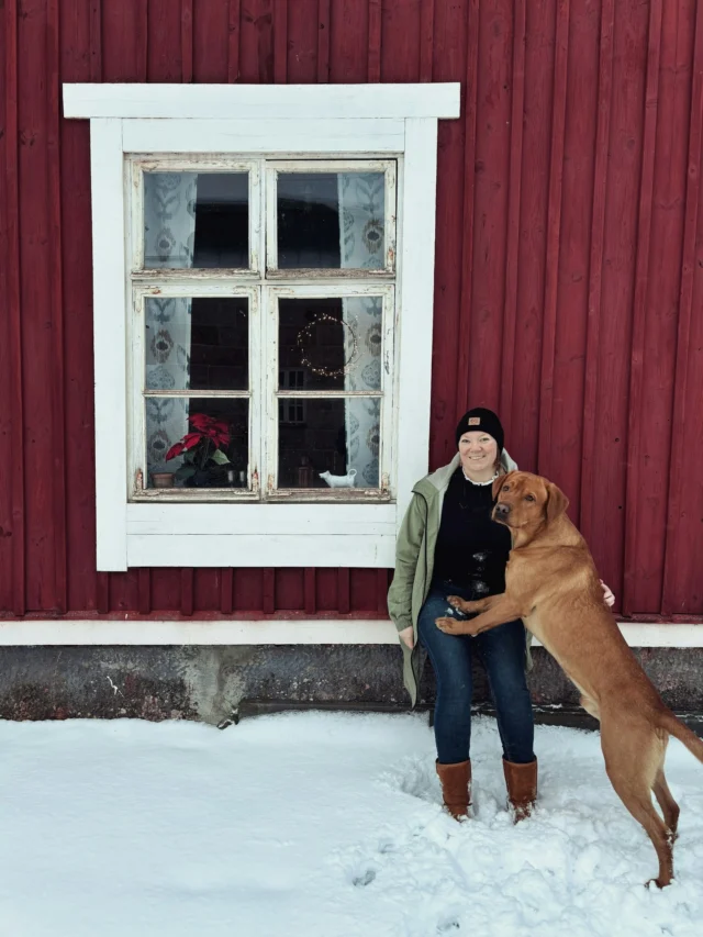 Let us introduce Erja, who is in charge of our equine products. 🤩You may have met Erja at events or fairs — she’s been part of our team for several years.Erja is an equestrian professional whose broad experience makes everyday interactions with you effortless and helpful. 🥰Alongside her passion for horses, Erja enjoys all kinds of dog sports with her Labrador Retriever, VeeJii. And yes, VeeJii has also had the chance to learn the ropes of stable life!Erja’s superpower? An incredible memory. Thanks to her, many forgotten tasks and lost ideas have been brought back to life. 🥳So don’t hesitate to reach out to Erja if you have any questions about Nutrolin® horse products or global collabs.