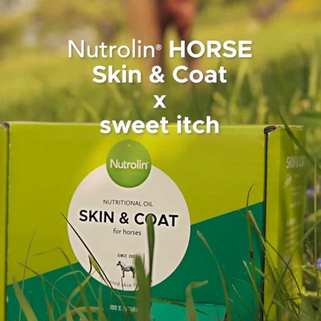 Was your horse scratching more than usual last summer? ☀️🐎Summer itch, dry skin, and a dull coat can affect comfort and performance.Nutrolin® HORSE Skin & Coat is a natural fatty acid supplement that nourishes the skin from within. It helps reduce irritation while promoting a healthy, shiny coat throughout the year.By using this product, you not only enhance your horse’s wellbeing but also save time on grooming! ✨