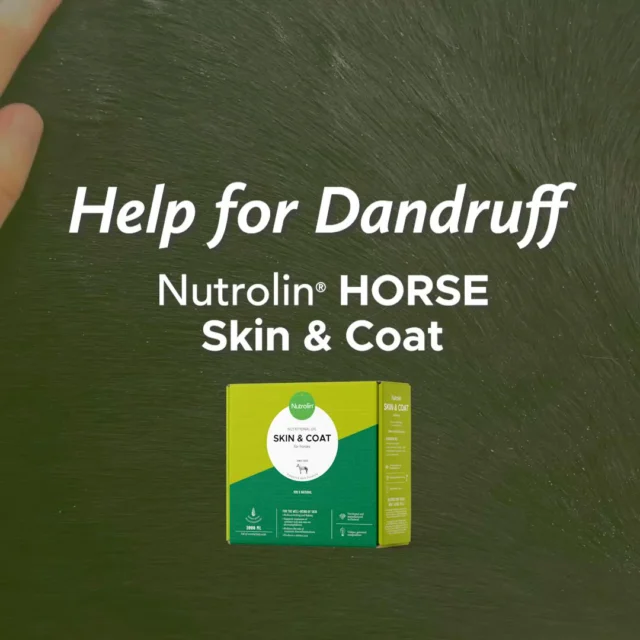 Does your horse have dry skin and a lot of dandruff?Amy had these problems with her horse Zebulon. She started giving Nutrolin® HORSE Skin & Coat and saw a clear change after just 30 days. 💚The product’s unique combination of fatty acids and vitamin E moisturizes the skin from the inside out and strengthens the skin’s natural protective layer.Watch the results in the video and see the difference for yourself! 🐎🔸 Wellbeing for horses! – During Horse Weeks, April 8–26, we’re sharing information about equine health and fatty acids. You’ll also get the chance to explore the Nutrolin® HORSE products.