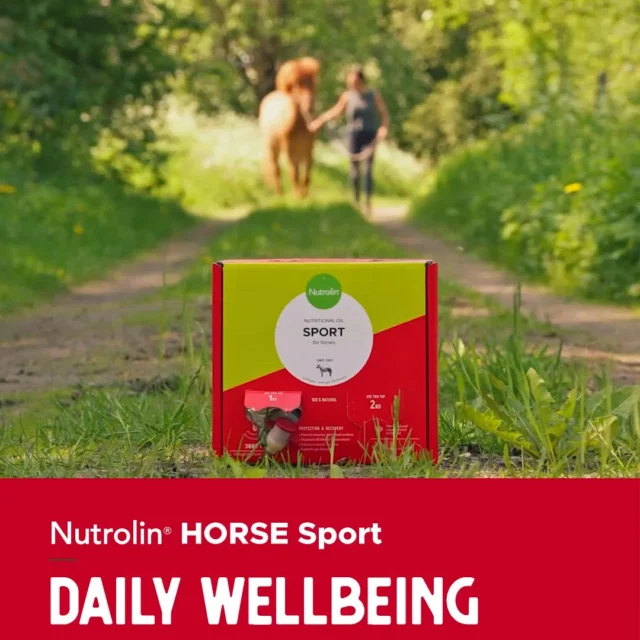 We thought we were creating a product for sport horses… but we ended up making something so much better.Nutrolin® HORSE Sport is a unique fatty acid supplement for every horse. 💥But how exactly does it support your horse?✅ Supports performance and recovery by protecting muscles, joints, and tendons
✅ Promotes gut health — veterinarians have even recommended it as supportive care for gastric ulcers
✅ Prepares mares for successful breeding and supports stallions’ fertilityAnd that’s not all!A foal receives the essential omega‑3 fatty acids, EPA and DHA, for its development through the milk of a mare that’s been given the oil. And soon, you’ll be able to offer the supplement directly to foals too — effectively and safely. 🐎We don’t call Nutrolin® HORSE Sport a miracle product… but you’re more than welcome to. 🤩Wellbeing for horses! – During Horse Weeks, April 8–26, we’re sharing information about equine health and fatty acids. You’ll also get the chance to explore the Nutrolin® HORSE products.