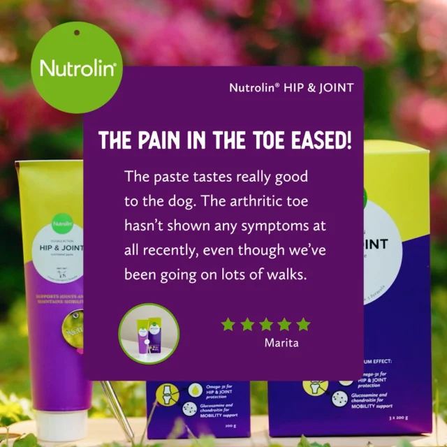 Marita’s dog had a sore toe. Now walks are going well again and the dog is feeling better! 😍 Tasty Nutrolin® HIP & JOINT supports joint health.