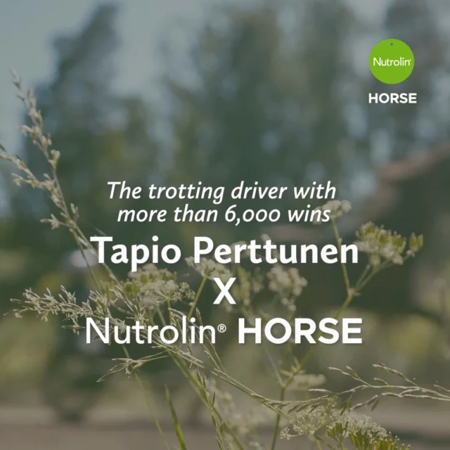 Fifty years in harness racing. Seven-time winner at the Kuninkuusravit – The Royal Races in Finland. 👑When Tapio "Tapsa" Perttunen shares his experience with Nutrolin® HORSE products, you're listening to one of Finland's most accomplished harness racing professionals.As a trainer, driver and co-owner, he has celebrated seven victories at the Kuninkuusravit. 🏆With the Kuninkuusravit – Finland's biggest annual harness racing event for the Finnhorse breed – just around the corner, it's the perfect time to hear what Tapsa has to say about feeding, equine wellbeing and his experiences with Nutrolin® HORSE.