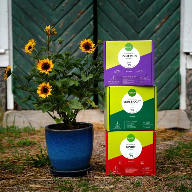 We have something for every horse, big or small. Our Nutrolin® HORSE range meets the needs of a wide variety of horses.Nutrolin® HORSE Skin & Coat strengthens the horse’s skin from within. Help combat itching, dandruff, sweet itch, mud fever, rain rot, and atopy with Skin & Coat.Nutrolin® HORSE Sport supports muscles, joints, and tendons, and helps speed up recovery. It also promotes normal gut function.Nutrolin® HORSE Joint Duo supports and improves joint mobility and enhances your horse’s quality of life. Freedom to move!